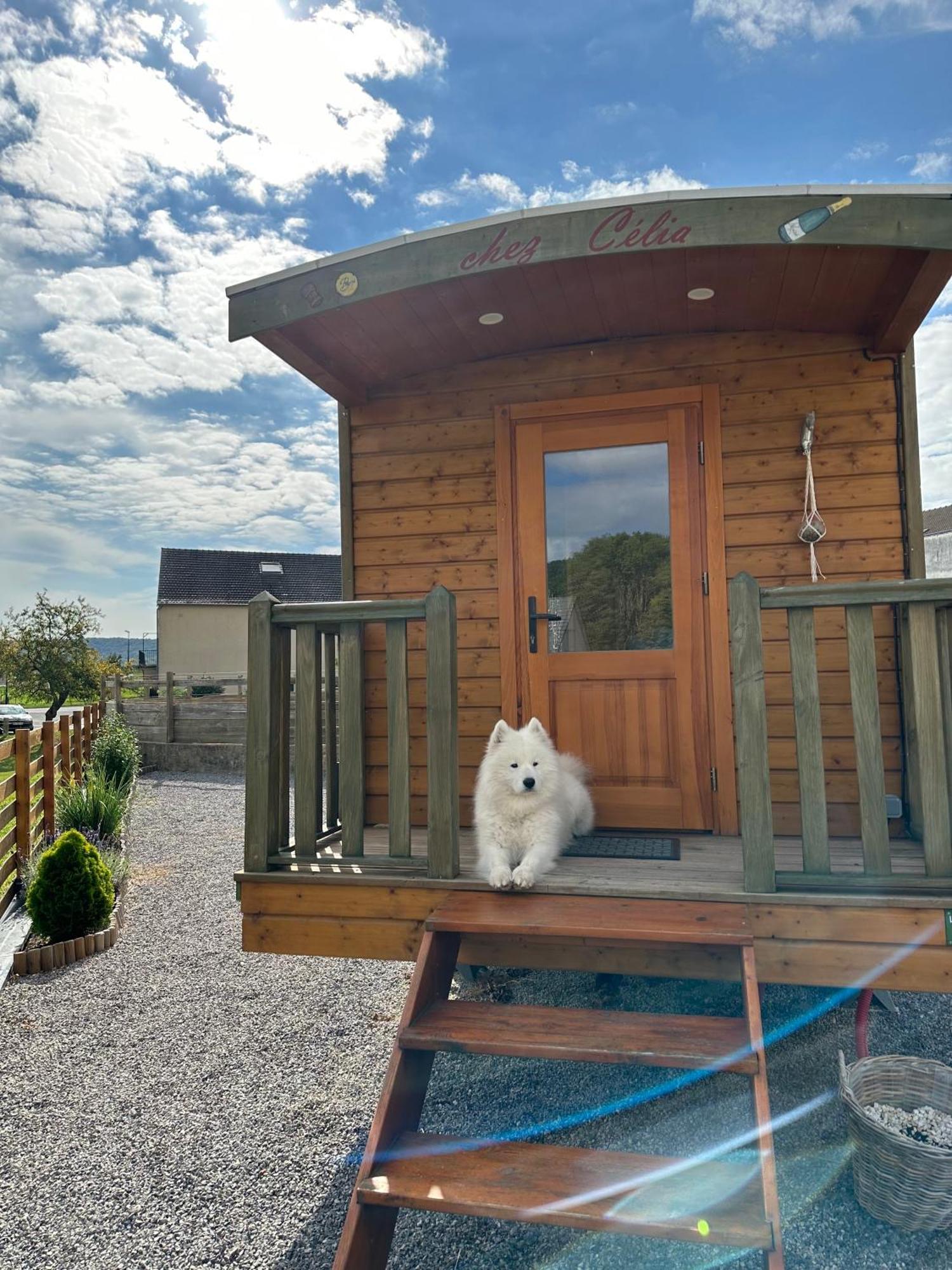 Chez Celia, Roulotte En Champagne Villa Fleury-la-Riviere Екстериор снимка