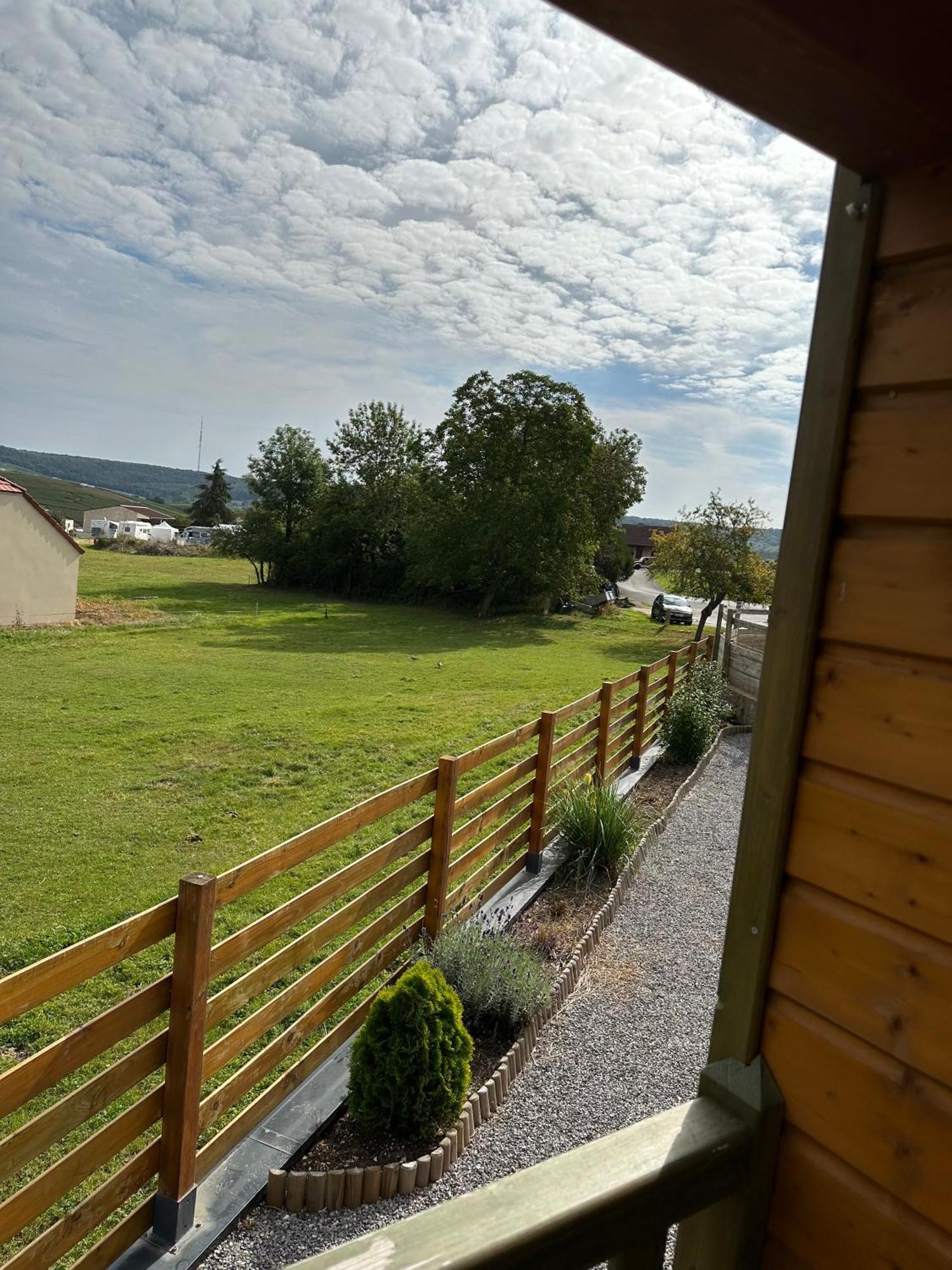 Chez Celia, Roulotte En Champagne Villa Fleury-la-Riviere Екстериор снимка