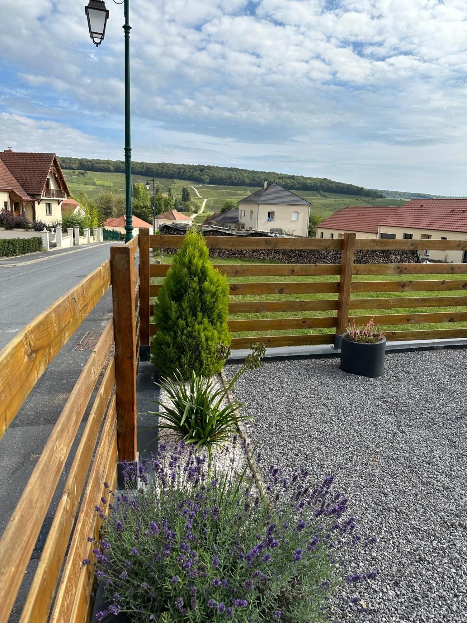 Chez Celia, Roulotte En Champagne Villa Fleury-la-Riviere Екстериор снимка